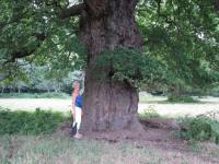 Albums/20090700-Windsor Great Park/20